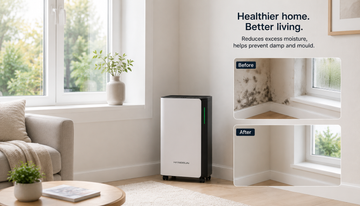 Does a Dehumidifier Help Mould? Understanding How to Reduce Damp and Moisture at Home