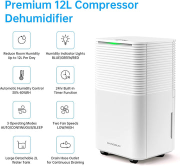 Hangsun 12L Dehumidifier