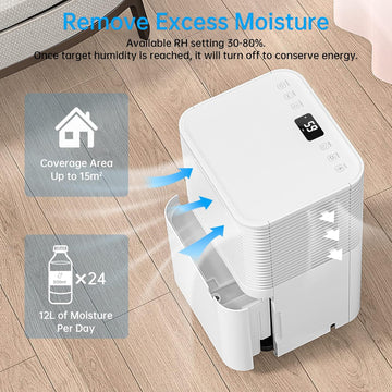 Hangsun 12L Dehumidifier