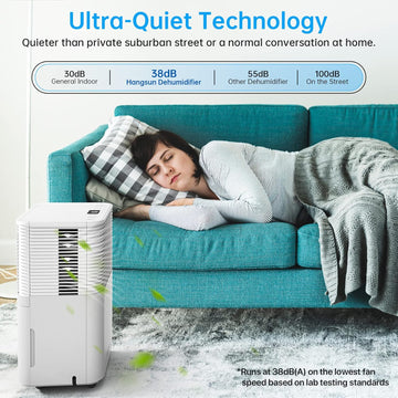 Hangsun 12L Dehumidifier