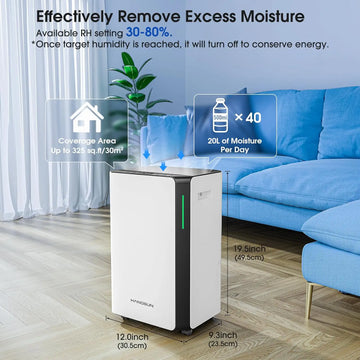 Hangsun 20L Dehumidifier