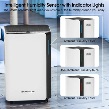 Hangsun 20L Dehumidifier
